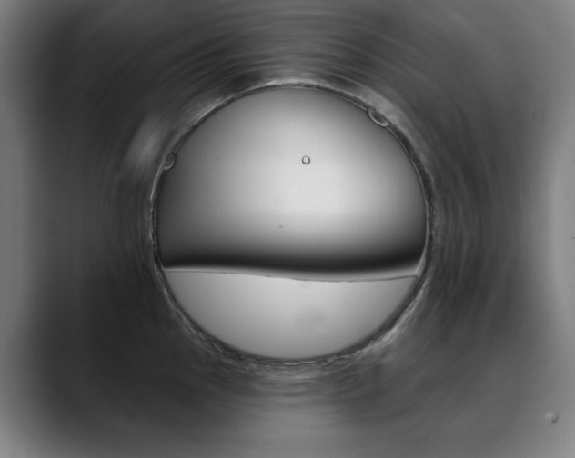 X0000090501145200707130944
