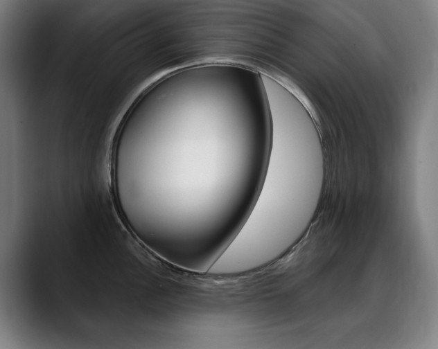 X0000090501148200707130944