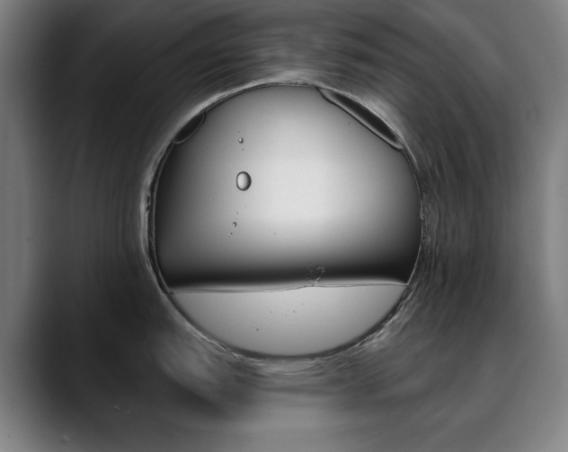 X0000090501151200707130944
