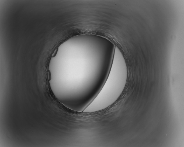 X0000090501153200707130944