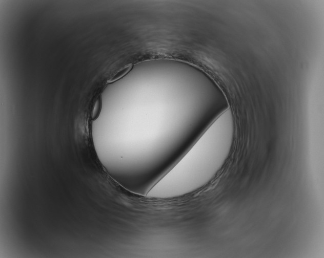 X0000090501155200707130944