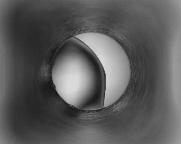 X0000090501156200707130944