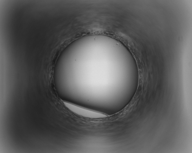 X0000090501157200707130944