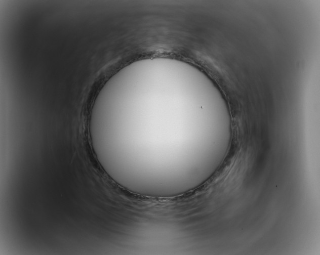 X0000090501158200707130944