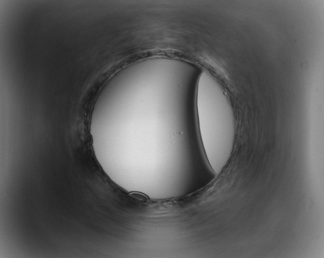 X0000090501159200707130944