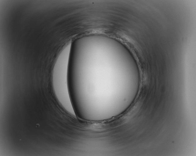 X0000090501161200707130944