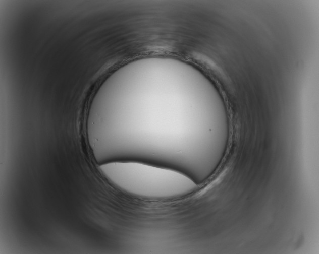 X0000090501162200707130944