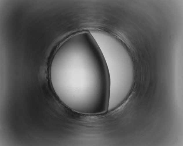 X0000090501164200707130944
