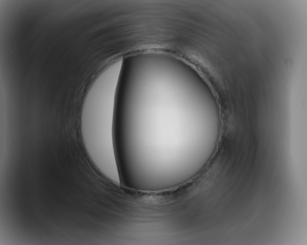 X0000090501169200707130944