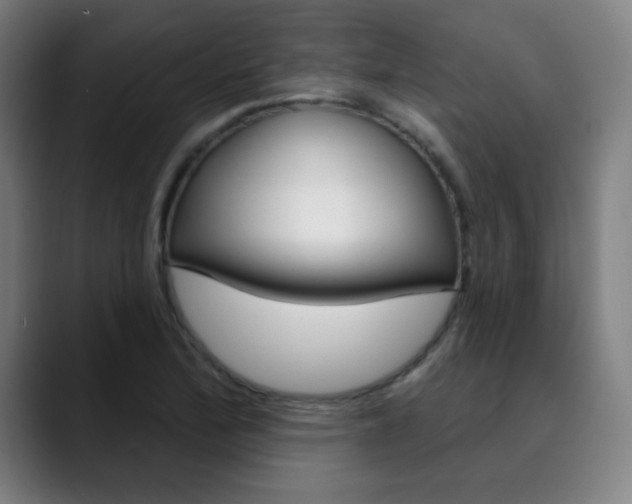 X0000090501172200707130944