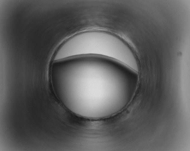 X0000090501173200707130944