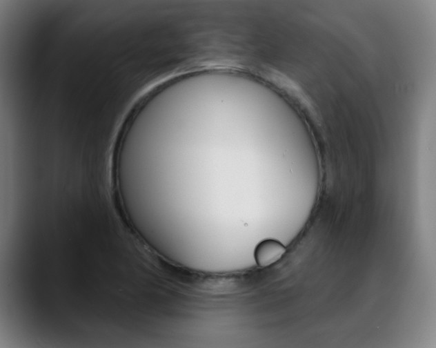 X0000090501174200707130944