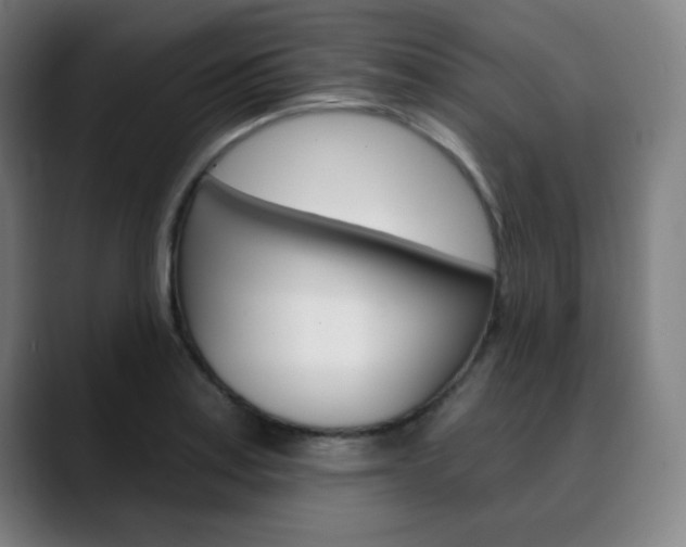 X0000090501179200707130944