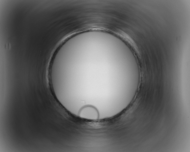 X0000090501182200707130943