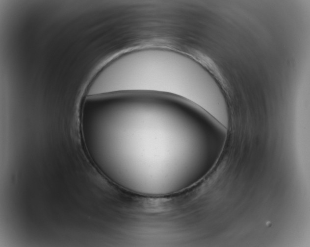 X0000090501184200707130943