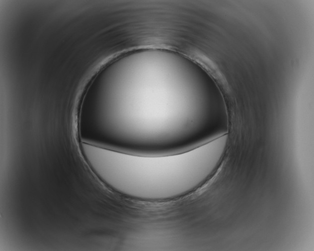 X0000090501188200707130943