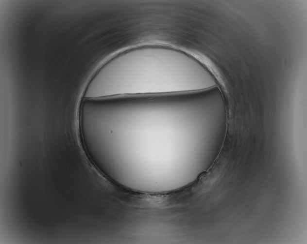 X0000090501191200707130943