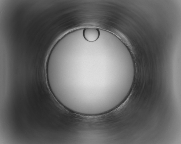 X0000090501192200707130943