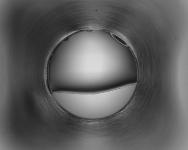X0000090501195200707130943