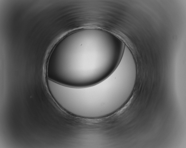 X0000090501196200707130943