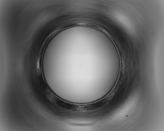 X0000090501198200707130943