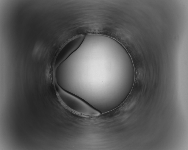 X0000090501202200707130943