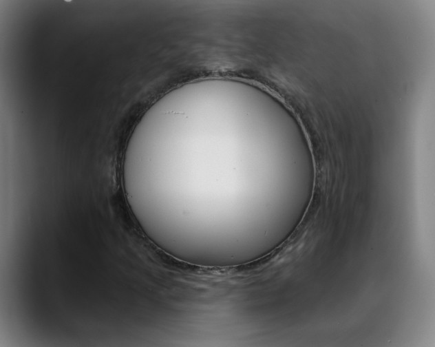 X0000090501205200707130943