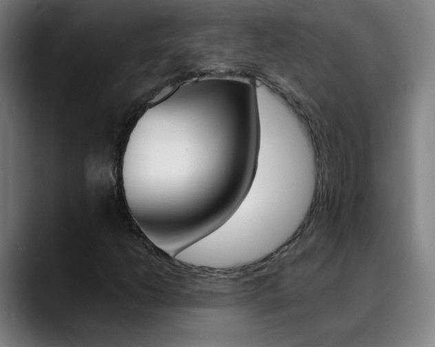 X0000090501206200707130943