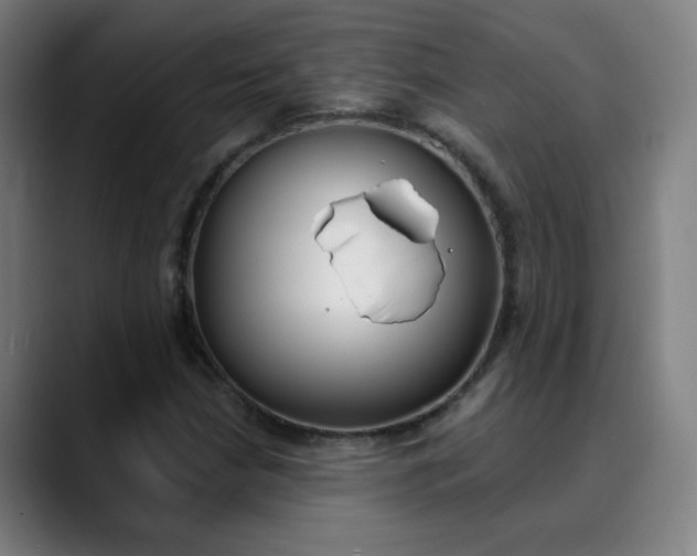 X0000090501210200707130943