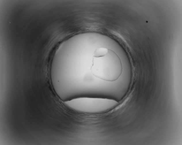 X0000090501211200707130943