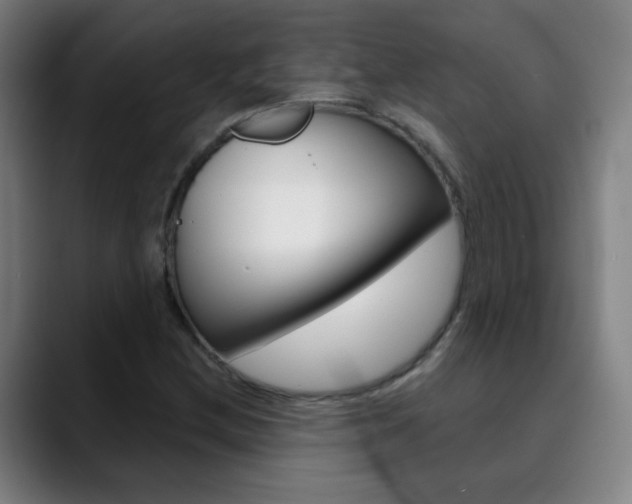 X0000090501212200707130943