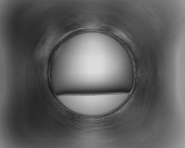 X0000090501216200707130943