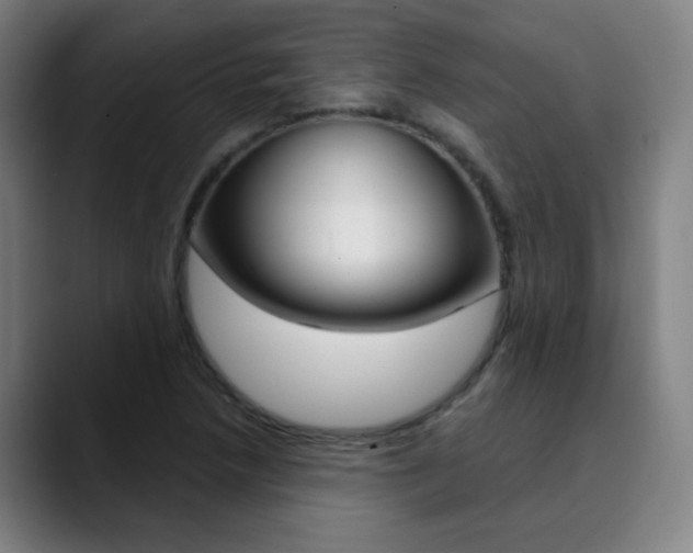 X0000090501218200707130943