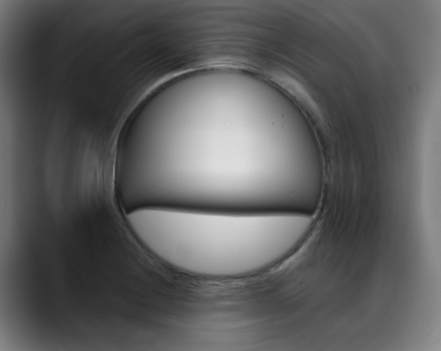 X0000090501228200707130943