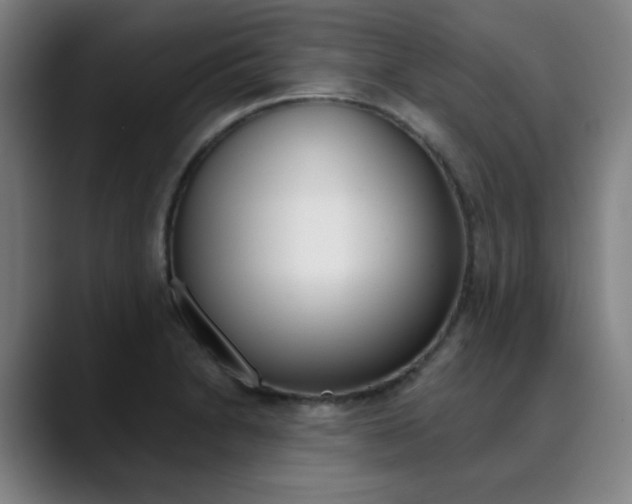 X0000090501230200707130943
