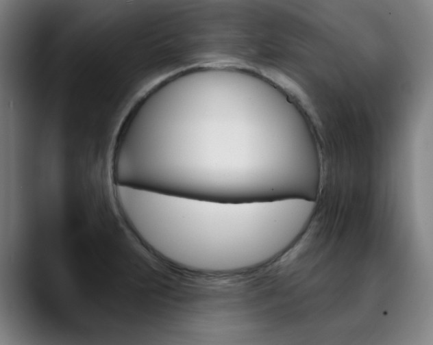 X0000090501231200707130943