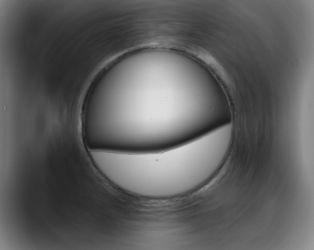 X0000090501232200707130943