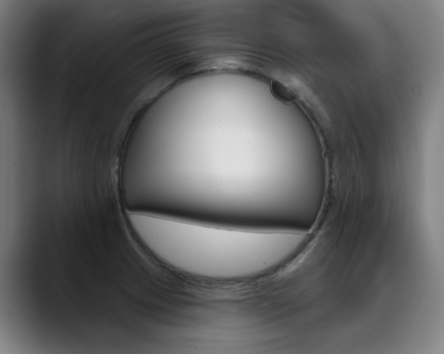 X0000090501233200707130943