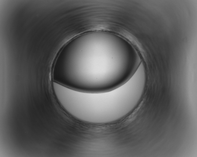 X0000090501234200707130943