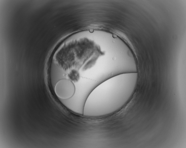 X0000090501235200707130943