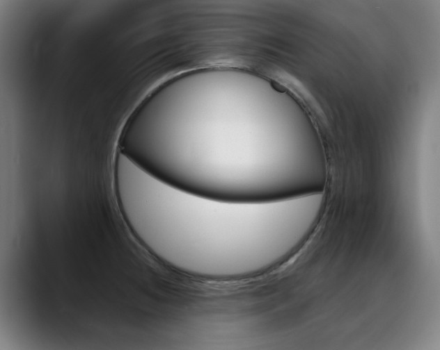 X0000090501236200707130943