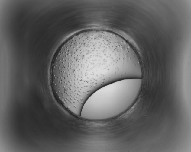 X0000090501239200707130943