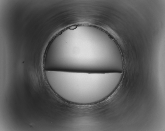 X0000090501240200707130943