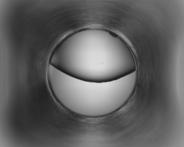 X0000090501245200707130943