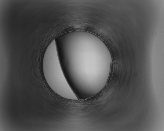 X0000090501249200707130943
