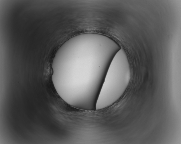 X0000090501251200707130943