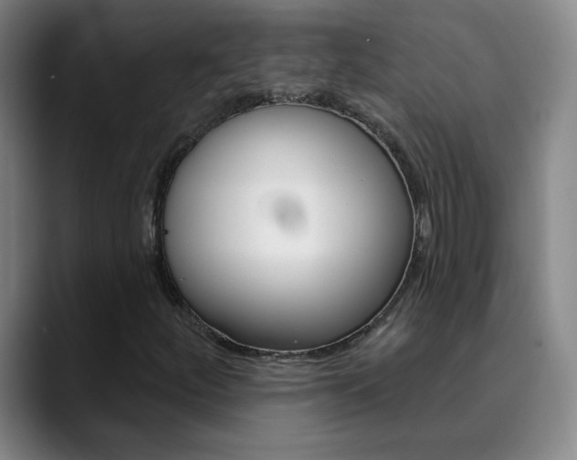 X0000090501252200707130943