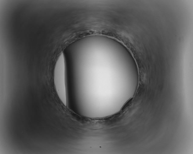 X0000090501253200707130943