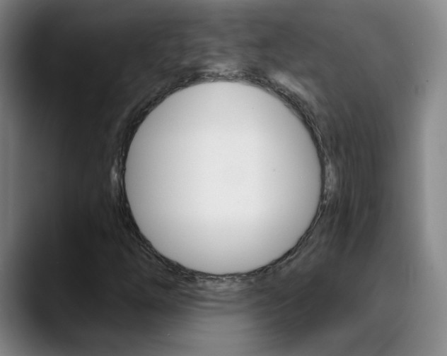 X0000090501254200707130943