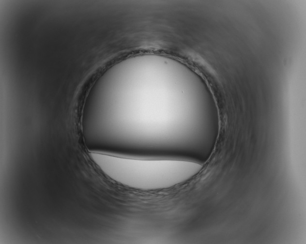 X0000090501256200707130943